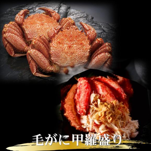 124-6 三大がに甲羅盛りセット　【たらばがに】【ずわいがに】【毛がに】03