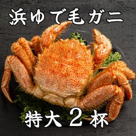 52-10 流氷明け浜ゆで毛ガニ　特大2杯