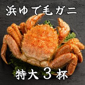 78-16 流氷明け浜ゆで毛ガニ　特大3杯