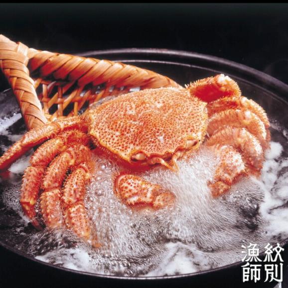 46-3 【北海道産】海明け毛がに姿 2尾計約1.0kg【期間限定5月18日まで受付予定】(冷蔵便)02