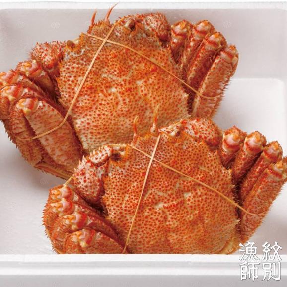 65-9 【北海道産】特大海明け毛がに姿 2尾計約1.3kg【期間限定5月18日まで受付予定】(冷蔵便)02
