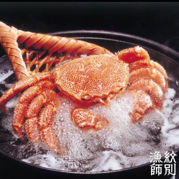 65-9 【北海道産】特大海明け毛がに姿 2尾計約1.3kg【期間限定5月18日まで受付予定】(冷蔵便)03