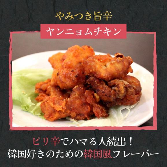 10-515 米粉でカラッと鶏の唐揚げ6種 セット ( レモンハーブ ヤンニョム 醤油麹 カレー チーズ 梅しそ )03