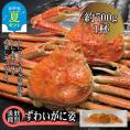 23-59 【お中元】ずわいがに姿 1尾約700g ｜無添加 かに ずわいがに 高品質