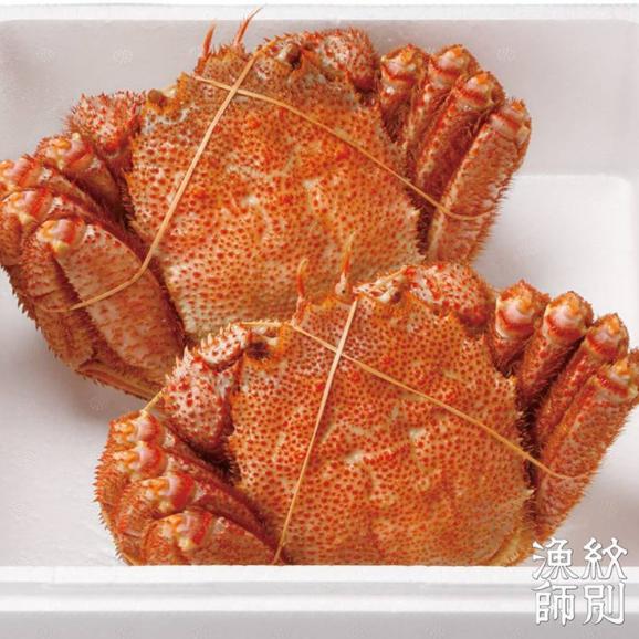 50-76 【お中元】【北海道産】毛がに姿 2尾計約1.0kg　【無添加】 ｜かに 毛がに 高品質04