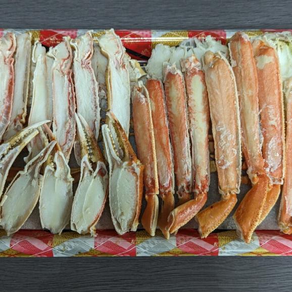 18-129 【お中元】ボイル本ずわいがにハーフポーション(総重量　約900ｇ前後)04