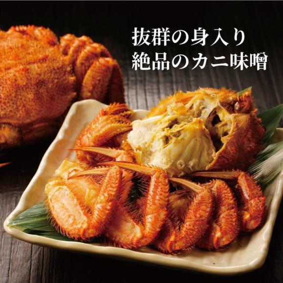 19-73 【お中元】ボイル毛がに(約440g～570g)×1尾03