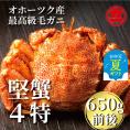 24-94 【お中元】北海道産ボイル毛がに【四特】 大ｻｲｽﾞ1尾入り（1尾約650ｇ前後）