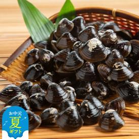 10-523 【お中元】冷凍砂出ししじみ　3袋セット