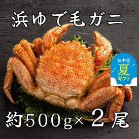 44-42 【お中元】流氷明け浜ゆで毛ガニ約500g×2尾