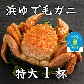 26-38 【お中元】流氷明け浜ゆで毛ガニ　特大1杯