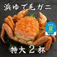 52-12 【お中元】流氷明け浜ゆで毛ガニ　特大2杯