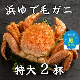 52-12 【お中元】流氷明け浜ゆで毛ガニ　特大2杯