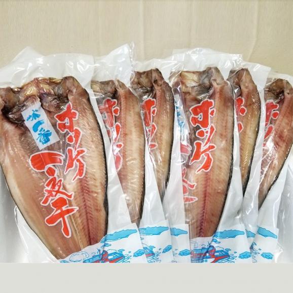 13-290 【お中元】真ほっけ一夜干し6枚セット05