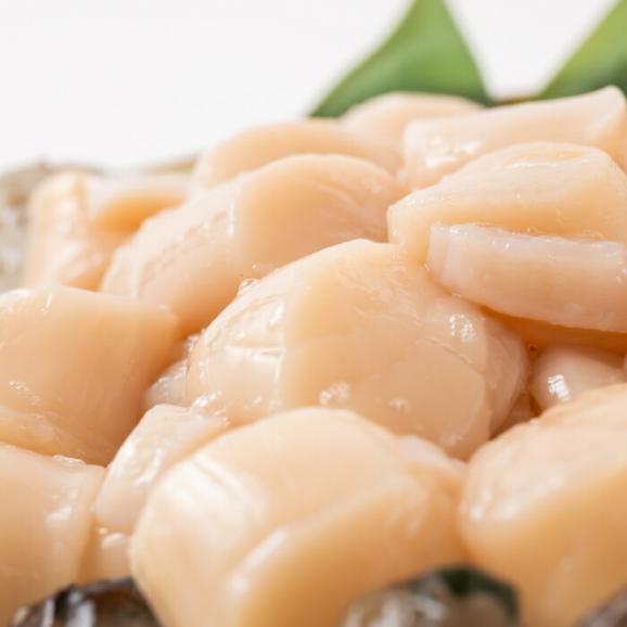 15-312 【お中元】大粒！冷凍帆立貝柱500ｇ×2(計1kg)04