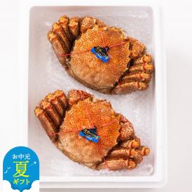 37-16 【お中元】毛ガニ約570ｇ×2尾