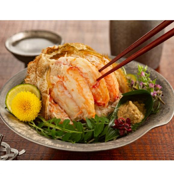 16-120 【お中元】毛がに甲羅盛【殻剥き不要！毛ガニの美味しいところだけをイイとこどり】03