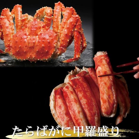 124-7 【お中元】三大がに甲羅盛りセット　【たらばがに】【ずわいがに】【毛がに】03