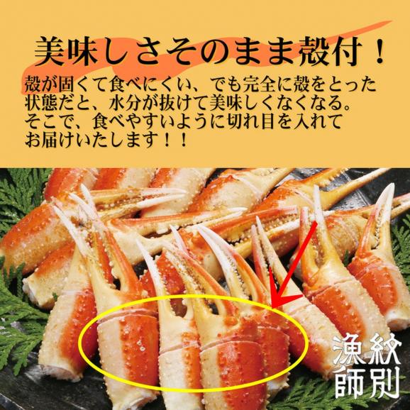 20-279 【お中元】ずわいがに爪 400g ｜無添加 かに ずわいがに 高品質05