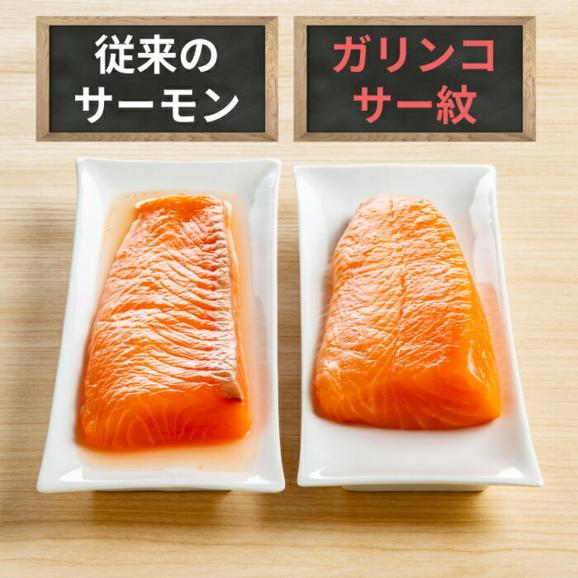 15-307 【お中元】ガリンコサー紋04