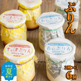 9-16 【お中元】焼きちぃずぷりん・濃厚な白いぷりん（各３個）