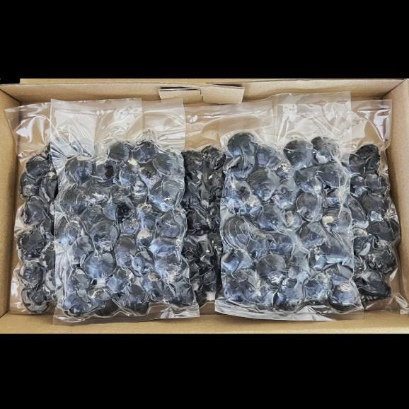 12-211 紋別産しじみ1kg02