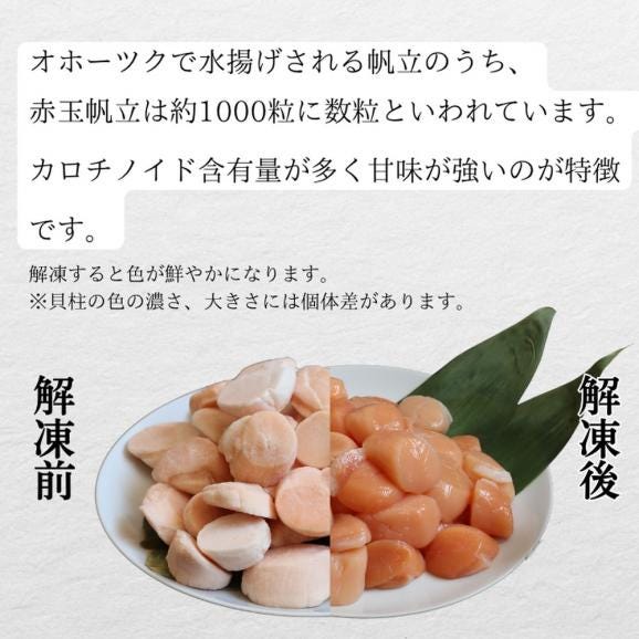 22-128 【お中元】【希少】お刺身用 赤帆立800g　｜ 北海道産　グルメ　海鮮丼03