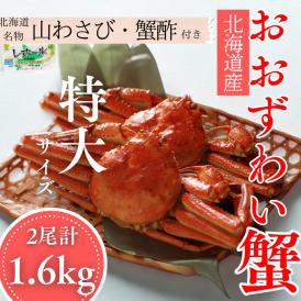 35-49 【北海道産】オオズワイガニ姿　特大サイズ2尾計1.6kg ｜ 蟹酢・山わさび付　かに　おおずわいがに