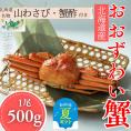 14-170 【お中元】【北海道産】オオズワイガニ姿　500g以上1尾 ｜ 蟹酢・山わさび付　かに　おおずわいがに