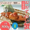 20-291 【お中元】【北海道産】特大サイズ オオズワイガニ姿　800g以上1尾 ｜ 蟹酢・山わさび付　かに　おおずわいがに