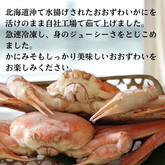 20-291 【お中元】【北海道産】特大サイズ オオズワイガニ姿　800g以上1尾 ｜ 蟹酢・山わさび付　かに　おおずわいがに03