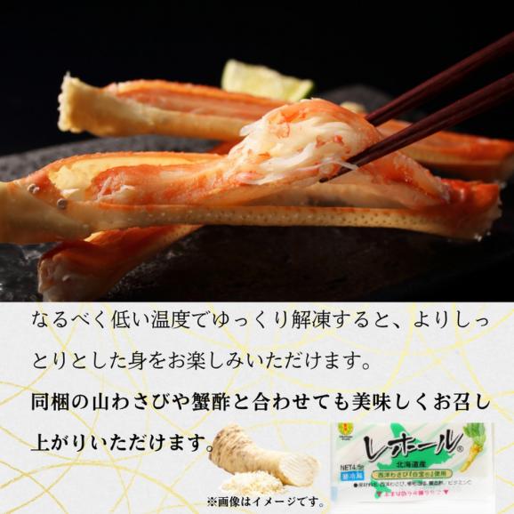 29-19 【お中元】【北海道産】オオズワイガニ姿　大サイズ2尾計1.3kg ｜ 蟹酢・山わさび付　かに　おおずわいがに04