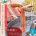 36-28 【お中元】ずわいがにしゃぶしゃぶ 500g ｜ 山わさび しゃぶしゃぶのタレ付き かに ずわいがに 高品質