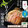 35-48 【お中元】【紋別産】特大毛がに甲羅盛り ｜ 特大のタグ付き かに　かにみそ　無添加　山わさび　蟹酢付
