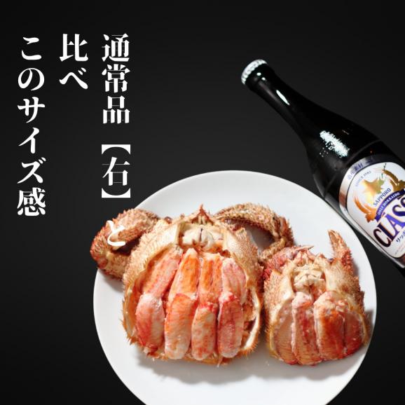 35-48 【お中元】【紋別産】特大毛がに甲羅盛り ｜ 特大のタグ付き かに　かにみそ　無添加　山わさび　蟹酢付04