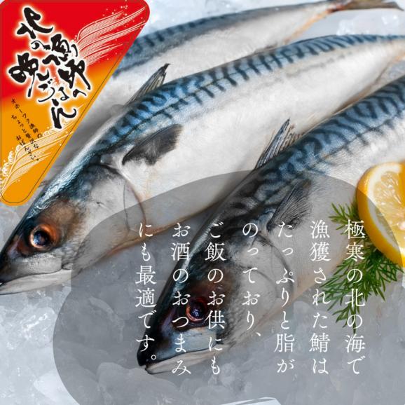 12-236 【お手軽調理】炙り塩さば【紋別漁師食堂】02