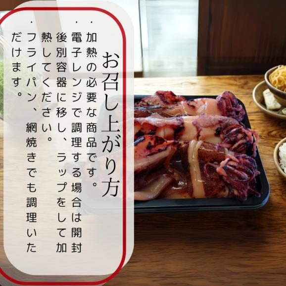 15-322 【お中元】【紋別産】やりいかのぽっぽ焼き(15本入り)04