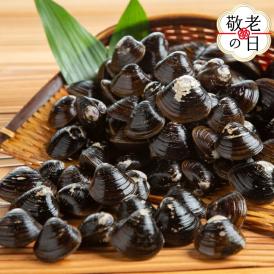 10-554 【敬老ギフト】冷凍砂出ししじみ　3袋セット