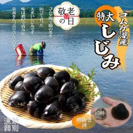19-82 【敬老ギフト】【紋別市コムケ湖産】 手獲り特大しじみ　600g
