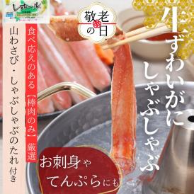 36-31 【敬老ギフト】ずわいがにしゃぶしゃぶ 500g ｜ 山わさび しゃぶしゃぶのタレ付き かに ずわいがに 高品質