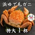 26-45 【敬老ギフト】流氷明け浜ゆで毛ガニ　特大1杯