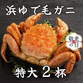 52-17 【敬老ギフト】流氷明け浜ゆで毛ガニ　特大2杯