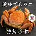 78-20 【敬老ギフト】流氷明け浜ゆで毛ガニ　特大3杯