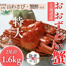 35-52 【敬老ギフト】【北海道産】オオズワイガニ姿　特大サイズ2尾計1.6kg ｜ 蟹酢・山わさび付　かに　おおずわいがに