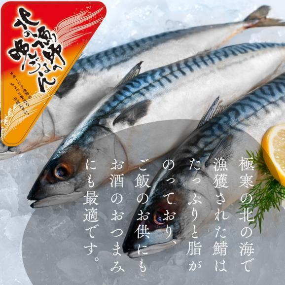 12-279 【敬老ギフト】【お手軽調理】さばの味噌煮【紋別漁師食堂】03