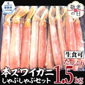 39-27 【敬老ギフト】【厳選部位のみ】本ズワイガニしゃぶしゃぶ【大】(たっぷり1.5kg)｜ 生食可 お刺身