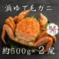 44-52 【敬老ギフト】流氷明け浜ゆで毛ガニ約500g×2尾