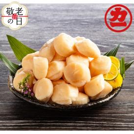 24-117 【敬老ギフト】オホーツク産ほたて貝柱特大サイズ1kg