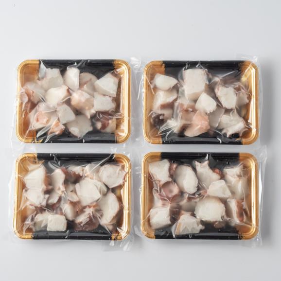 10-566 北海道産たこブツ800g（200g×4） 05