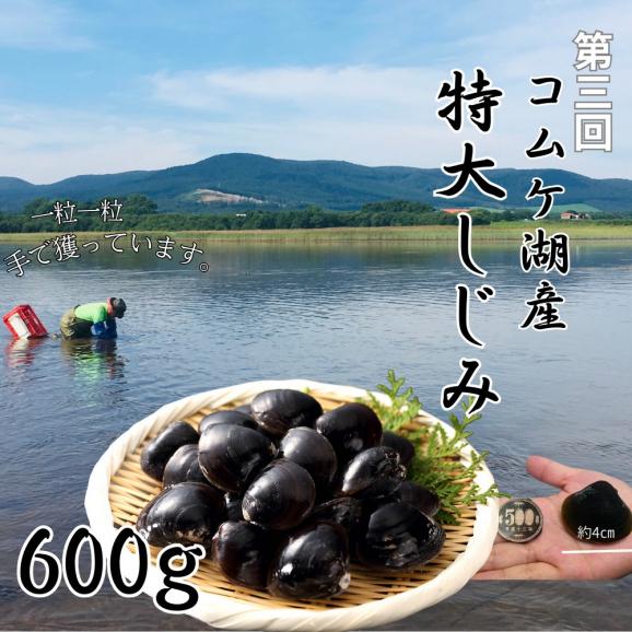 100-88 【北海道】北の漁師のごちそう　定期便　12品　全4回【紋別漁師食堂謹製】｜ 帆立　ほたて　蟹　かに　お惣菜　グルメ　おとりよせ　炊き込みご飯　海鮮丼　しじみ　ずわいがに　いくら　お刺身　04